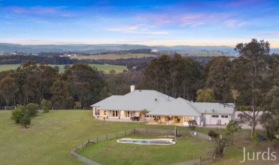 141 Camp Road, Lovedale, NSW 2325