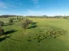 141 Horspool Way, Orange, NSW 2800-Image