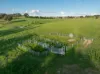 141 Horspool Way, Orange, NSW 2800-Image