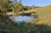 141 Sterling Rd, Kandanga Creek, Qld 4570-Image