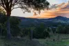 141 Sterling Rd, Kandanga Creek, Qld 4570-Image