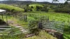 1413 Dalrymple Road, Dalrymple Heights QLD 4757-Image