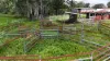 1413 Dalrymple Road, Dalrymple Heights QLD 4757-Image