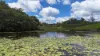 1413 Dalrymple Road, Dalrymple Heights QLD 4757-Image