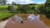 1413 Dalrymple Road, Dalrymple Heights QLD 4757-Image