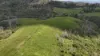 1413 Dalrymple Road, Dalrymple Heights QLD 4757-Image