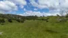 1413 Dalrymple Road, Dalrymple Heights QLD 4757-Image