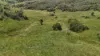 1413 Dalrymple Road, Dalrymple Heights QLD 4757-Image