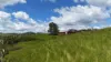 1413 Dalrymple Road, Dalrymple Heights QLD 4757-Image