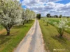 1416 Finlay Road, Tongala, Vic 3621-Image