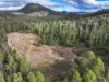 1417 Coricudgy Road, Kelgoola, NSW 2849-Image