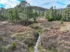 1417 Coricudgy Road, Kelgoola, NSW 2849-Image