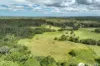 1420 Collombatti Road, Collombatti, NSW 2440-Image