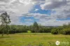 1420 Collombatti Road, Collombatti, NSW 2440-Image