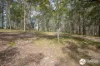 1420 Collombatti Road, Collombatti, NSW 2440-Image
