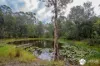 1420 Collombatti Road, Collombatti, NSW 2440-Image