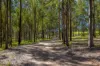 1420 Collombatti Road, Collombatti, NSW 2440-Image