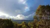 1420 Herbert Park Road, Thalgarrah, NSW 2350