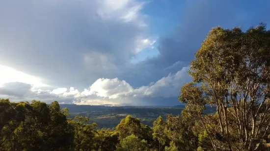1420 Herbert Park Road, Thalgarrah, NSW 2350