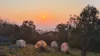 1420 Herbert Park Road, Thalgarrah, NSW 2350-Image