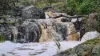 1420 Herbert Park Road, Thalgarrah, NSW 2350-Image