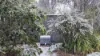 1420 Herbert Park Road, Thalgarrah, NSW 2350-Image