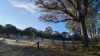 1420 Herbert Park Road, Thalgarrah, NSW 2350-Image