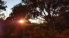 1420 Herbert Park Road, Thalgarrah, NSW 2350-Image