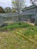 1420 Herbert Park Road, Thalgarrah, NSW 2350-Image