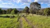 1420 Herbert Park Road, Thalgarrah, NSW 2350-Image