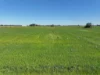14233 Riverina Highway, Berrigan, NSW 2712-Image