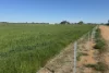 14233 Riverina Highway, Berrigan, NSW 2712-Image