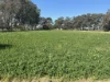 14233 Riverina Highway, Berrigan, NSW 2712-Image