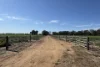 14233 Riverina Highway, Berrigan, NSW 2712-Image
