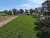 14233 Riverina Highway, Berrigan, NSW 2712-Image