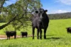 144 Burns Road, Wyena, Tas 7254-Image