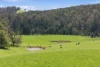 144 Burns Road, Wyena, Tas 7254-Image