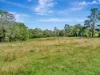 1445 Eastern Dorrigo Way, Lowanna, NSW 2450-Image