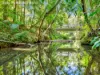 1445 Eastern Dorrigo Way, Lowanna, NSW 2450-Image