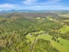 1445 Eastern Dorrigo Way, Lowanna, NSW 2450-Image