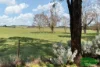 1445 HOBBYS YARDS RD HOBBYS YARDS, Bathurst, NSW 2795-Image