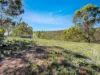 1448 Numeralla Road, Glen Fergus, NSW 2630-Image