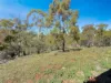 1448 Numeralla Road, Glen Fergus, NSW 2630-Image