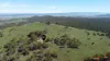 1448 Numeralla Road, Glen Fergus, NSW 2630-Image