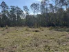 145 Coalmine Road, Nymboida, NSW 2460-Image