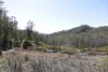 145 Coalmine Road, Nymboida, NSW 2460-Image