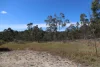 145 Coalmine Road, Nymboida, NSW 2460-Image