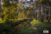 145 Donovans Road, Woodend, Vic 3442-Image