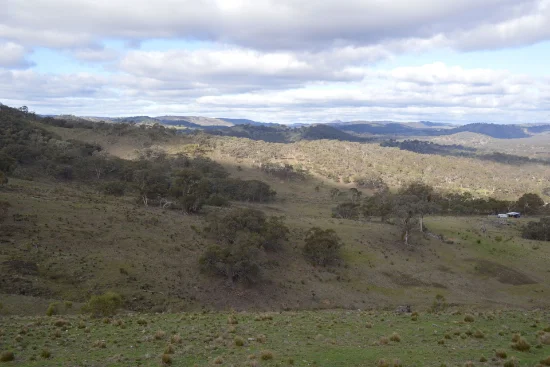 1453 Windeyer Road, Mudgee, NSW 2850