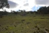 1453 Windeyer Road, Mudgee, NSW 2850-Image